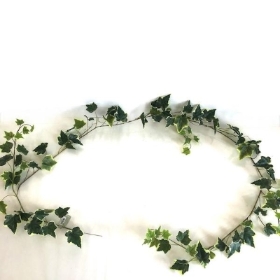 Green Garden Ivy Garland Variegated 180cm
