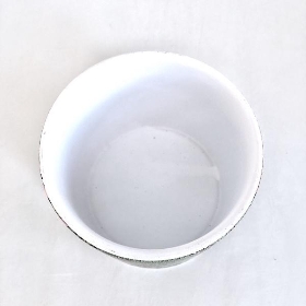 Jungle Pot 10cm