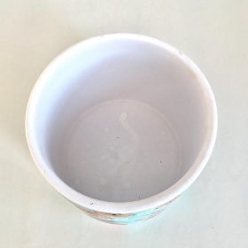 Bird Cage Pot 10cm