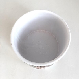Amazon Leaf Pot 10cm