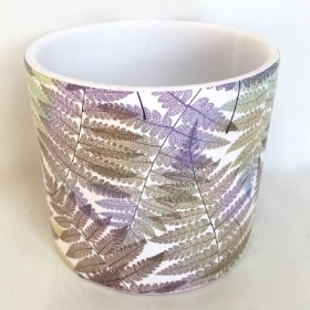 Fern Leaf Pot 10cm