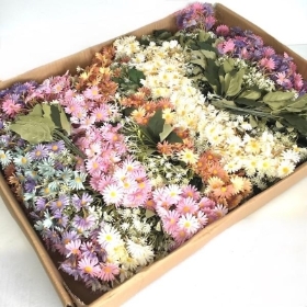 48 x Assorted Vintage Mini Daisy Bush 34cm