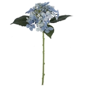 Blue Budding Hydrangea 45cm