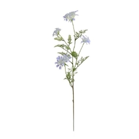 Blue Queen Annes Lace 96cm