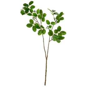 Grape Myrtle Leaf Spray