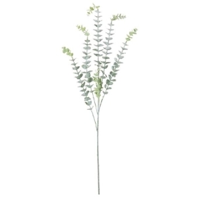 Dusted Green Eucalyptus Stem