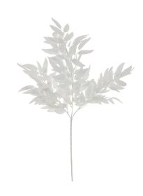 White Ruscus Spray 62cm
