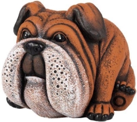 Bulldog Planter 20cm