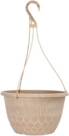 12inch Powdered Ginger Hanging Basket
