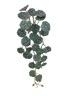 Geranium Foliage Trail 45cm