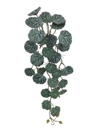 Geranium Foliage Trail 45cm
