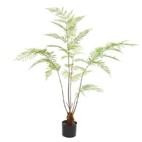 Tree Fern 155cm