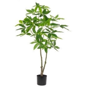 Money Tree 120cm