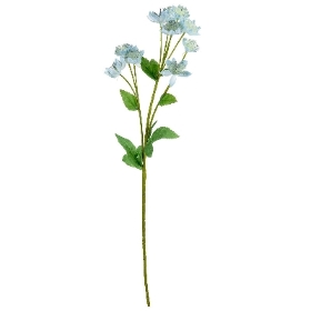 Blue Astrantia 61cm