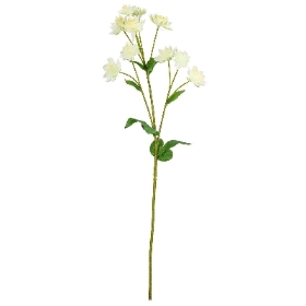 Ivory Astrantia 61cm