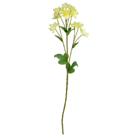 Green Astrantia 61cm