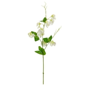 White Sweet Pea Spray 60cm