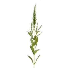 Ivory Veronica Spray 72cm