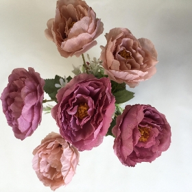 Peony & Foliage Bush 30cm