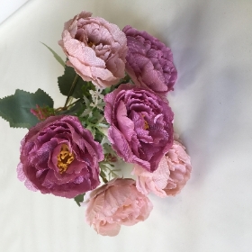 Peony & Foliage Bush 30cm