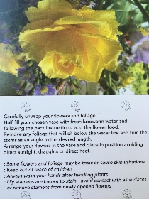Yellow Rose Folding Card x25