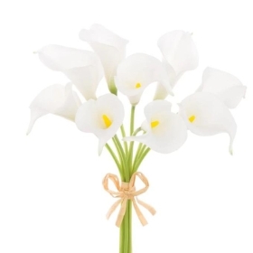 Small Ivory Calla Bundle x 9