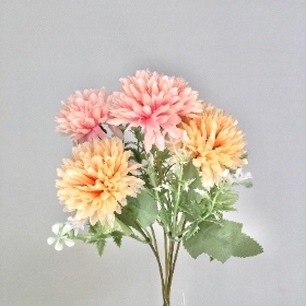 Pink Peach Mini Chrysanthemum Bush 30cm