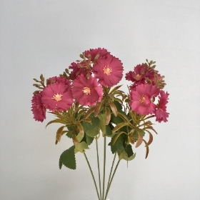 Purple Mini Dianthus Bush 37cm