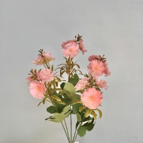 Pink Mini Dianthus Bush 37cm