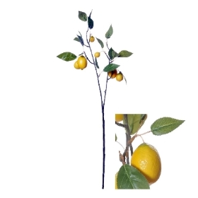 Lemon Spray 79cm
