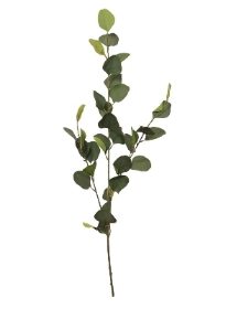 Dark Green Eucalyptus 80cm