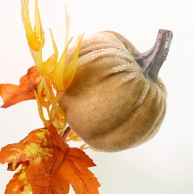 Cream Wild Velvet Pumpkin Pick 40cm