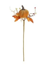 Pale Orange Wild Pumpkin Pick 38cm