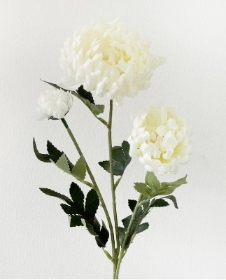 Ivory Spray Chrysanthemum 63cm