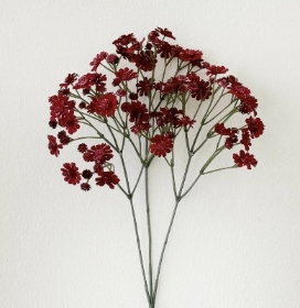 Burgundy Cottage Daisy 70cm
