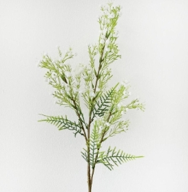 Gym & Fern 70cm