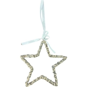 Grey Star 25cm