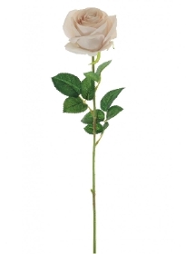 Nude Harper Rose 63cm