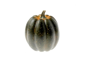 Large Green Appalachian Pumpkin 25cm