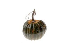 Small Green Pumpkin 15cm