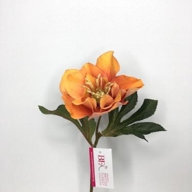 Orange Hellebores 48cm