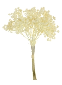 Cream Gyp Bundle 34cm