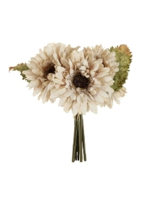 Oyster Gerbera Bundle 27cm