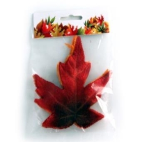 Autumn Leaves 