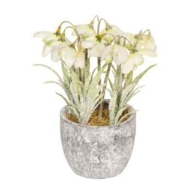 Frosted Snowdrop Pot 18cm