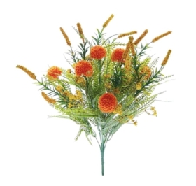 Orange Autumn Wildflower Bush 50cm