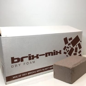 Dry Foam Oasis Brix Mix x 20