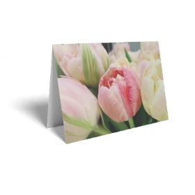 Folding Card Pink Tulip 10cm x 7cm
