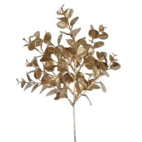 Champagne Eucalyptus Pick 37.5cm
