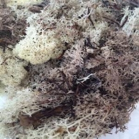 Reindeer Moss Natural 450g